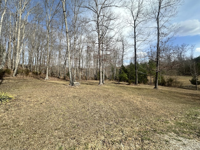 LOT11 Tom Oryan Rd, Monticello, KY 42633