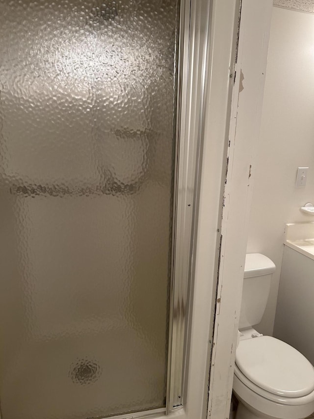 bathroom with a shower stall and toilet