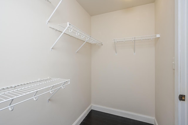 spacious closet with dark wood-type flooring