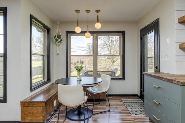 dining space featuring dark wood-type flooring, plenty of natural light, and baseboards