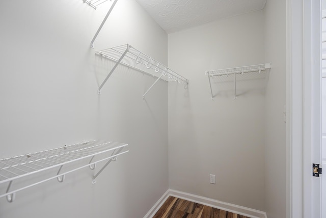 walk in closet with dark wood-type flooring