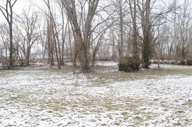 view of yard layered in snow