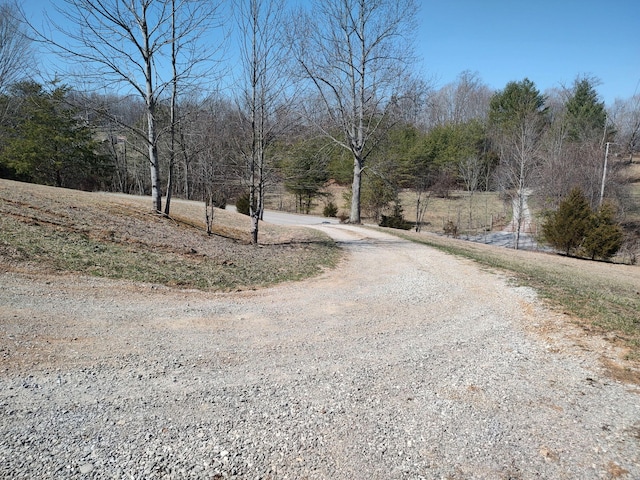 Listing photo 3 for 1805 Doc Adams Rd, Mount Vernon KY 40456