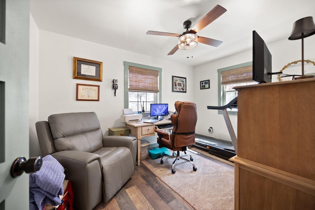 office space featuring wood finished floors and ceiling fan