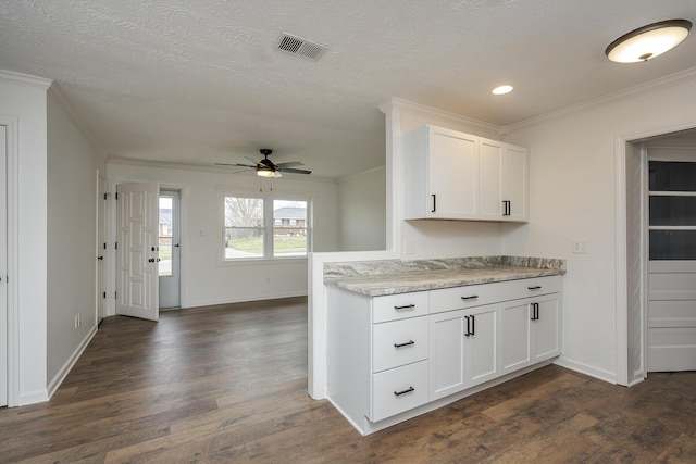 kitchen featuring visible vents, ceiling fan, dark wood-style flooring, and light countertops