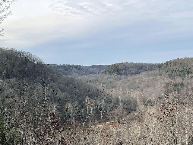 LOT145 Stillwater, Russell Springs KY, 42642 land for sale