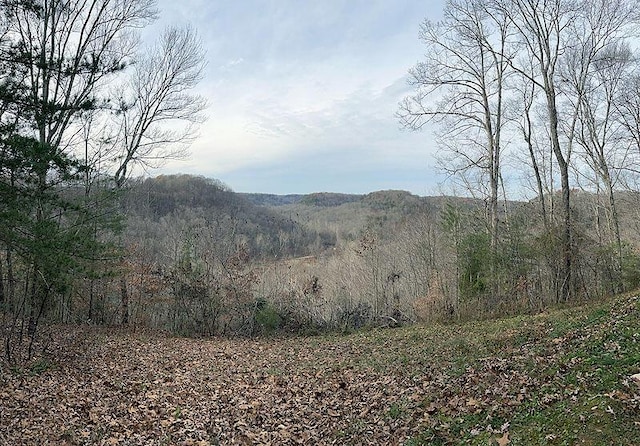 Listing photo 2 for LOT145 Stillwater, Russell Springs KY 42642