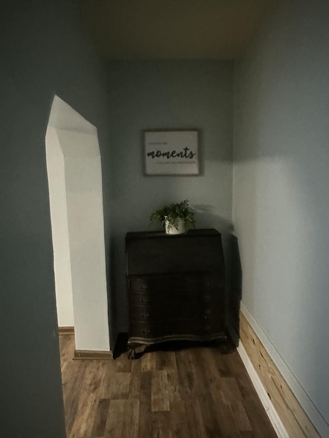 110 Silvercreek Dr, Danville, KY 40422 - room details featuring baseboards and wood finished floors