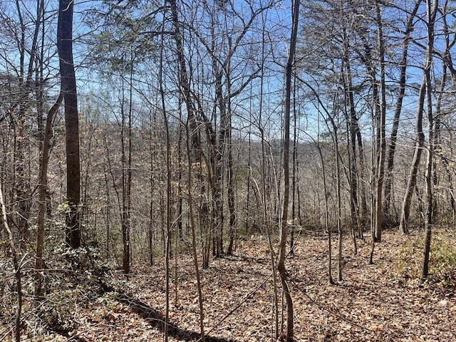 Listing photo 2 for LOT195 Stillwater, Russell Springs KY 42642