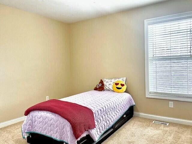 bedroom with multiple windows, carpet, visible vents, and baseboards