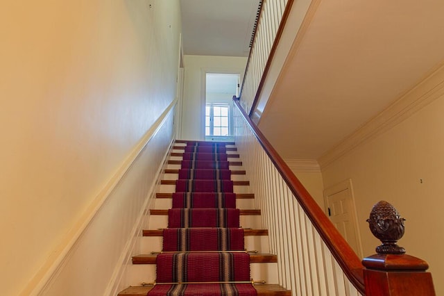 staircase featuring ornamental molding