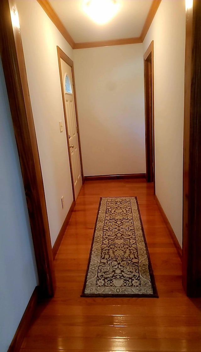 278 John Dr, Burnside, KY 42519 - hall with baseboards, light wood finished floors, and ornamental molding