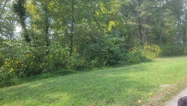 278 John Dr, Burnside, KY 42519 - view of yard featuring a wooded view