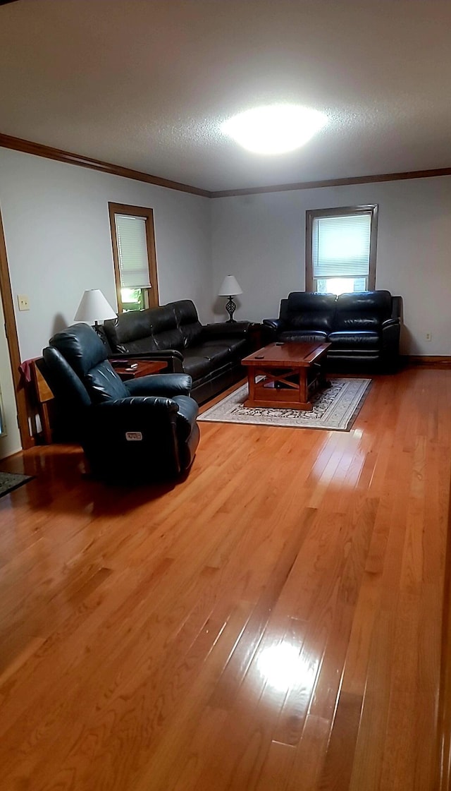 278 John Dr, Burnside, KY 42519 - living room featuring ornamental molding, a textured ceiling, and hardwood / wood-style floors