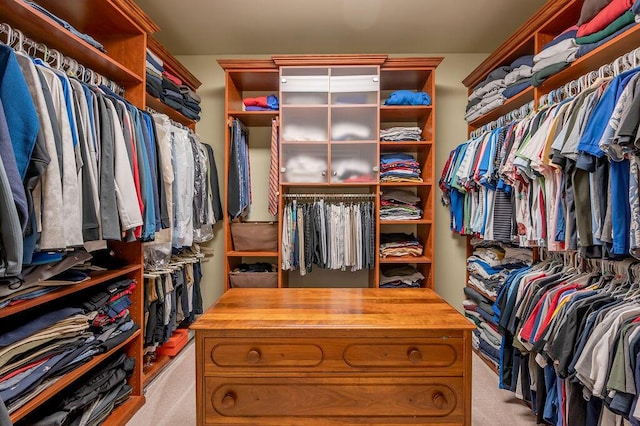 2208 Terranova Ct, Lexington, KY 40513 - walk in closet with light colored carpet