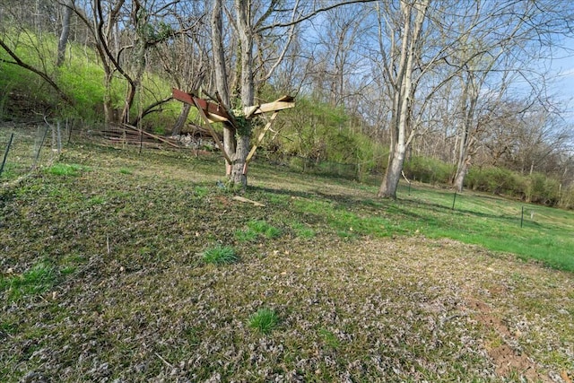 312 Murrell St, Frankfort, KY 40601 - view of yard with fence