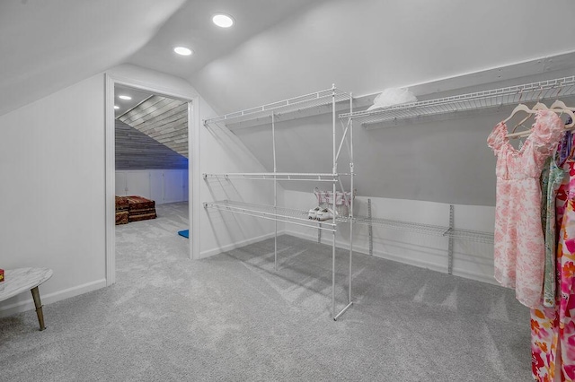 870 Mcmeekin Pl, Lexington, KY 40502 - walk in closet featuring lofted ceiling and carpet flooring