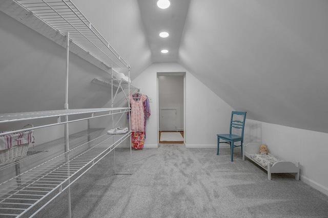 870 Mcmeekin Pl, Lexington, KY 40502 - spacious closet featuring lofted ceiling and carpet floors