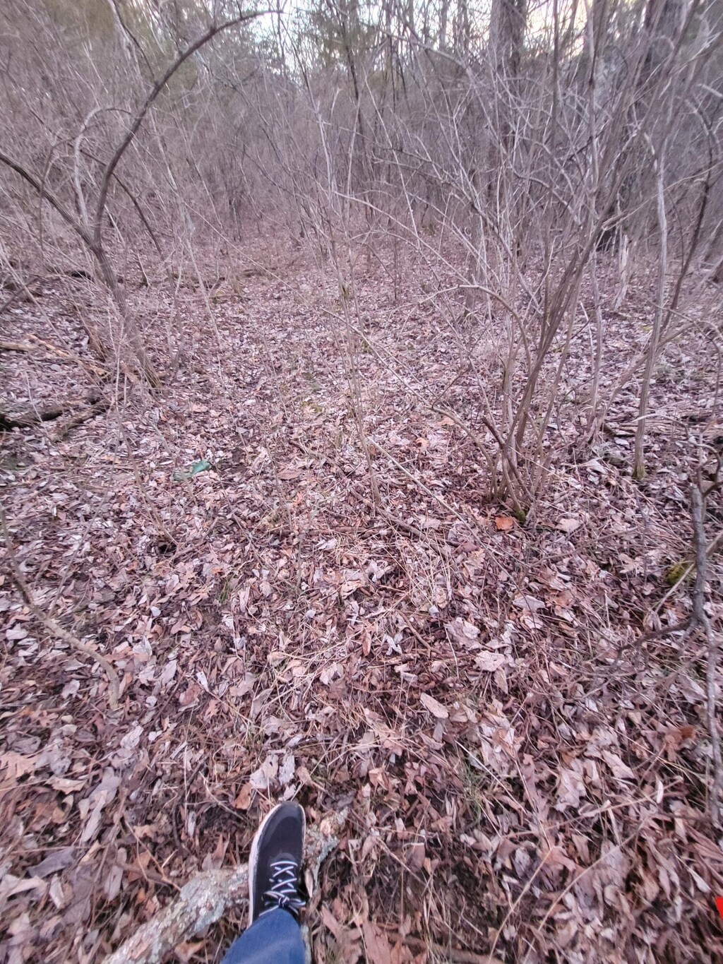 4-1 Lot Unit 9, 10, Corinth, KY 41010