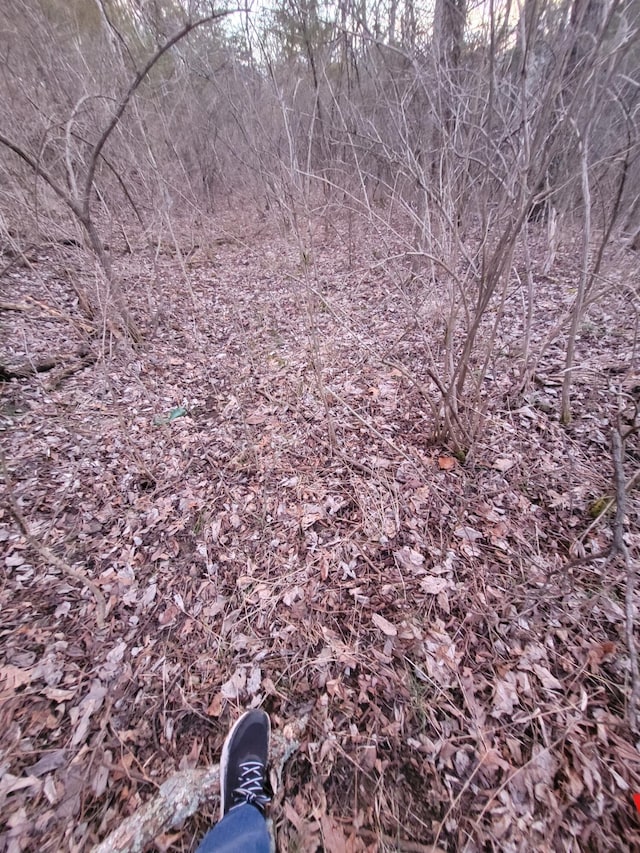 4-1 Lot Unit 9, 10, Corinth, KY 41010