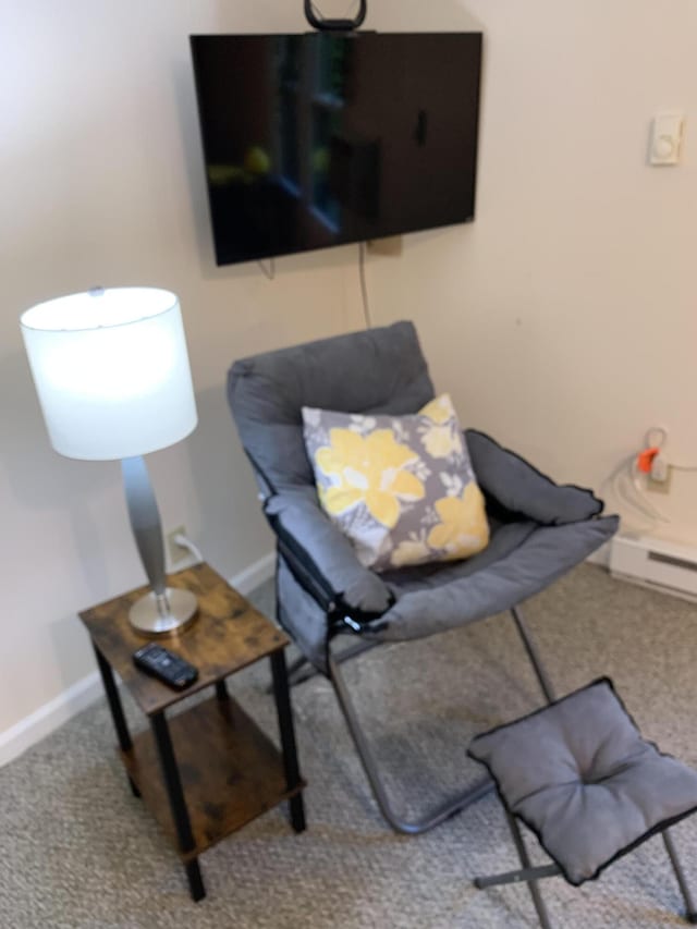 380 Harrodswood Rd, Frankfort, KY 40601 - sitting room with carpet, baseboards, and baseboard heating