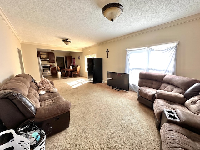 living room with light carpet, a textured ceiling, and crown molding
