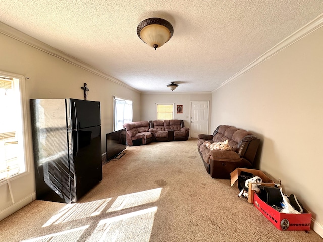 carpeted living room featuring a textured ceiling and ornamental molding