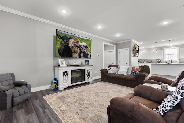 700 Nick Ln, Winchester, KY 40391 - living room featuring dark wood-style floors, recessed lighting, baseboards, and ornamental molding