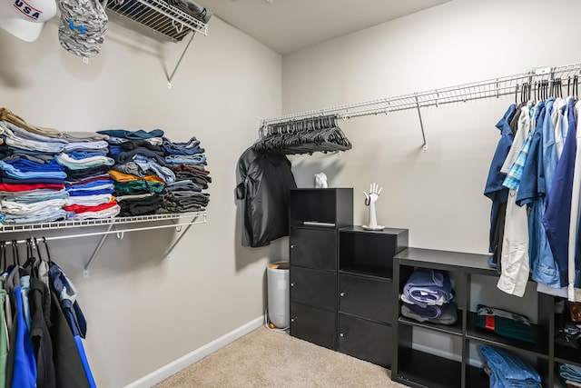205 Hedgewood Ln, Richmond, KY 40475 - spacious closet featuring carpet flooring