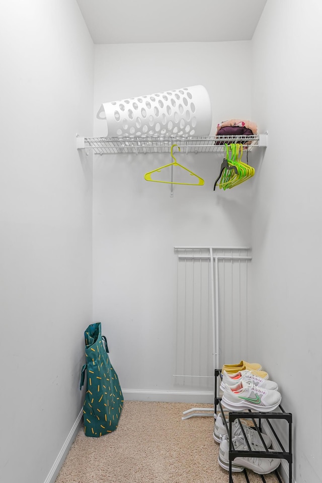 205 Hedgewood Ln, Richmond, KY 40475 - spacious closet with carpet flooring