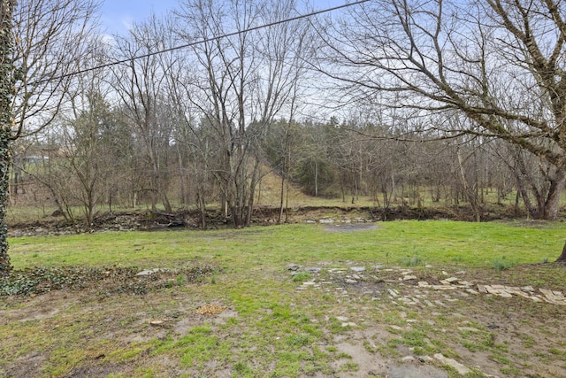 view of yard with a forest view