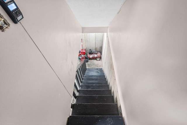 101 Bell Lawn Dr, Nicholasville, KY 40356 - view of staircase