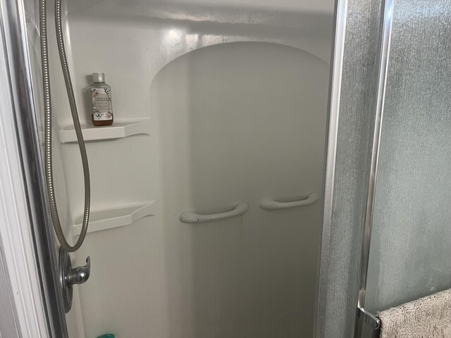 interior details featuring walk in shower