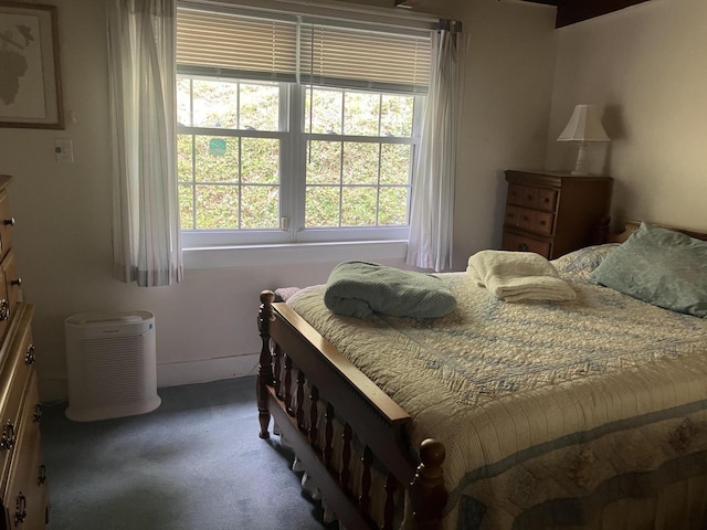 907 Augusta Dr, Cumberland, KY 40823 - bedroom featuring carpet flooring