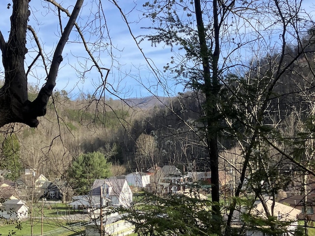 mountain view