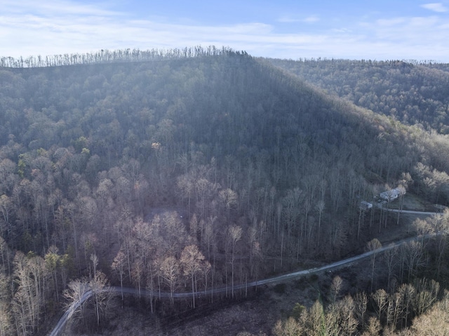 2047 Hatchers Creek Rd, Stanton, KY 40380