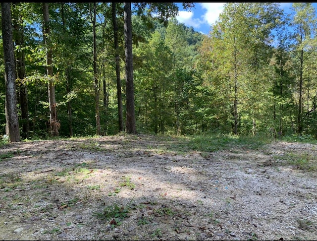 2047 Hatchers Creek Rd, Stanton, KY 40380