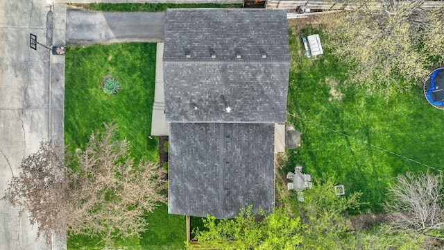 bird's eye view