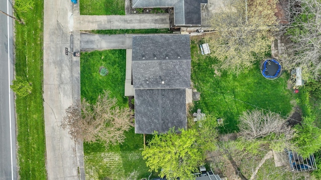 bird's eye view