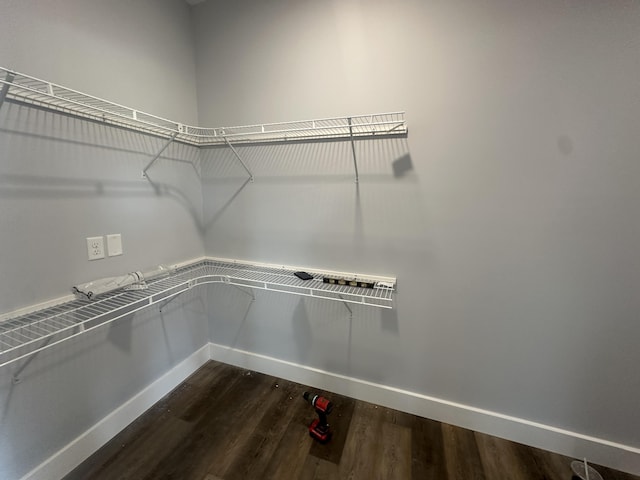 walk in closet featuring dark wood-style floors