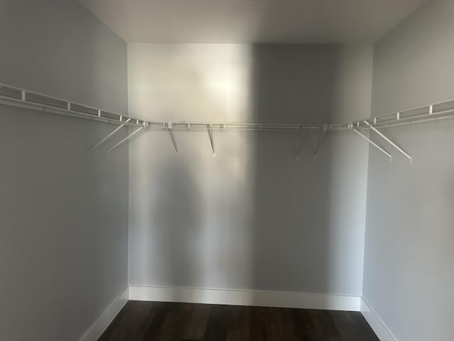 walk in closet with dark wood-type flooring