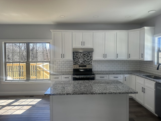 kitchen featuring stainless steel electric range oven, dishwasher, a sink, under cabinet range hood, and white cabinetry