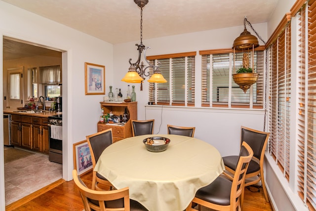 dining room with wood finished floors