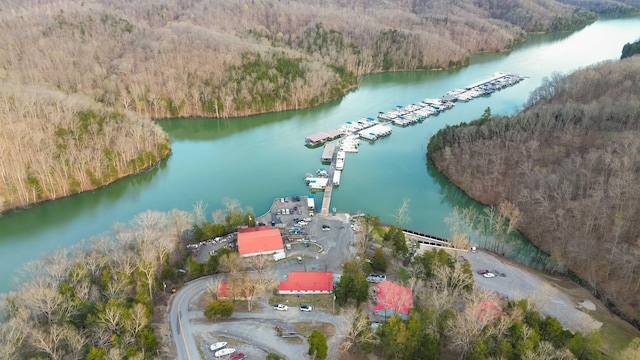 aerial view featuring a water view and a view of trees
