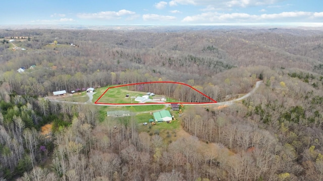 bird's eye view featuring a wooded view