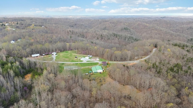 bird's eye view with a view of trees