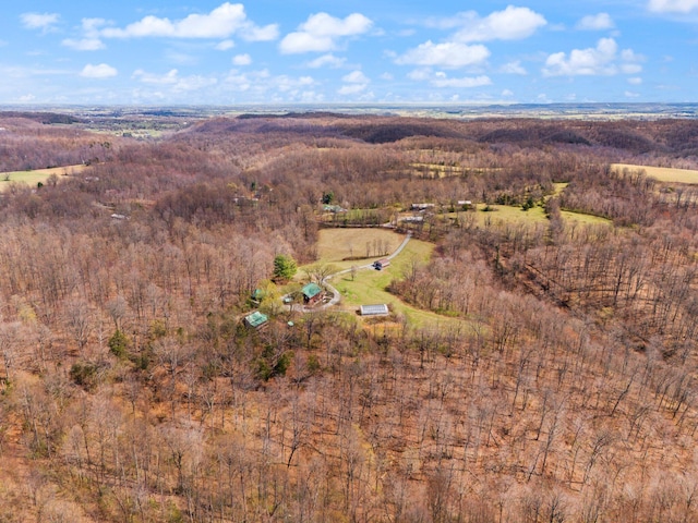 1295 Burger Knob Rd, Junction City, KY 40440 - bird's eye view