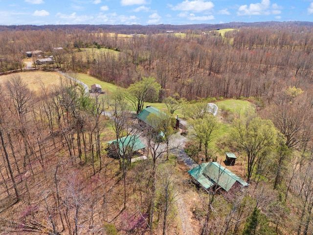 1295 Burger Knob Rd, Junction City, KY 40440 - birds eye view of property featuring a forest view