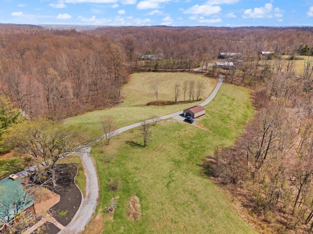 1295 Burger Knob Rd, Junction City, KY 40440 - birds eye view of property featuring a view of trees