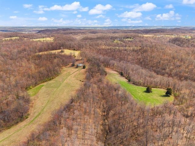 1295 Burger Knob Rd, Junction City, KY 40440 - drone / aerial view